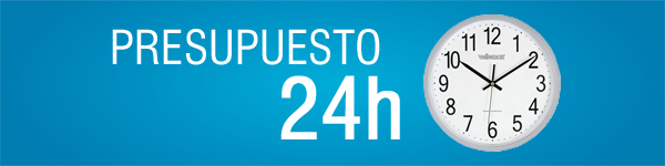Servicio de presupuesto en 24 horas